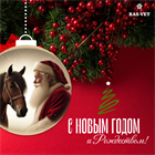 Поздравление от компании RAS-VET